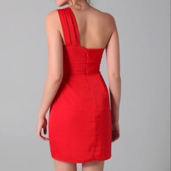 BCBG Max Azria Red Dress - Picture 3 of 12